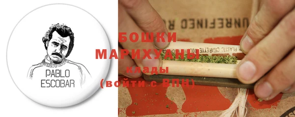 PSILOCYBIN Армянск