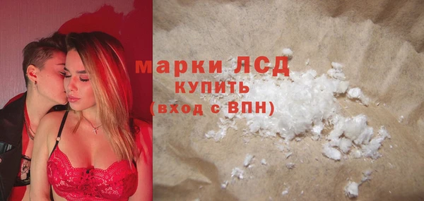 стафф Арсеньев
