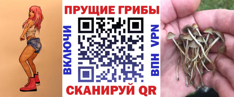 omg ссылка  даркнет сайт  Балабаново  Галлюциногенные грибы GOLDEN TEACHER 